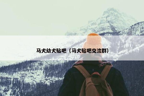马犬幼犬贴吧（马犬贴吧交流群）