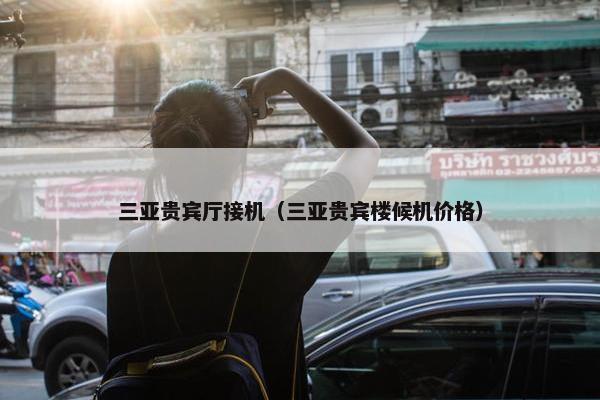 三亚贵宾厅接机（三亚贵宾楼候机价格）
