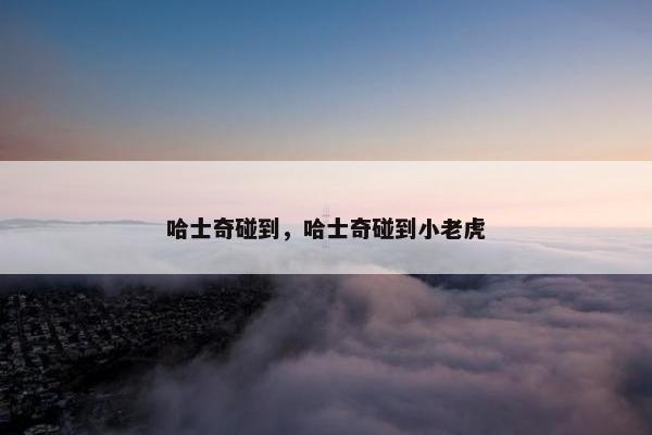 哈士奇碰到，哈士奇碰到小老虎