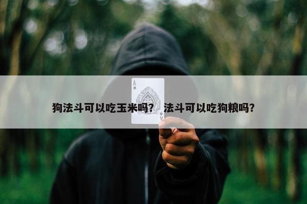 狗法斗可以吃玉米吗？ 法斗可以吃狗粮吗？