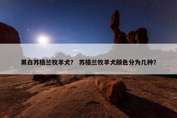 黑白苏格兰牧羊犬？ 苏格兰牧羊犬颜色分为几种？
