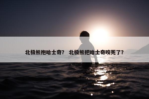 北极熊抱哈士奇？ 北极熊把哈士奇咬死了？
