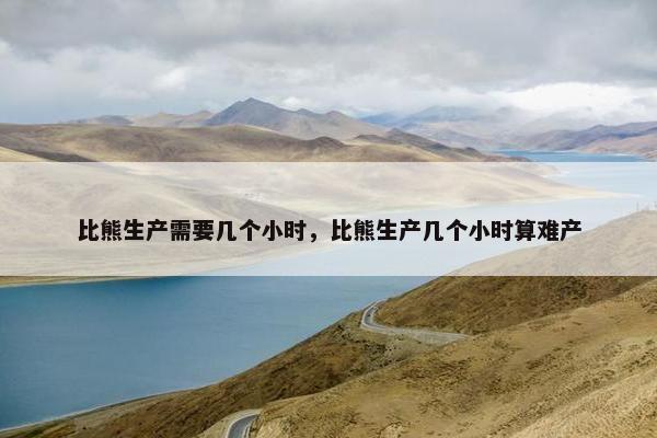 比熊生产需要几个小时，比熊生产几个小时算难产