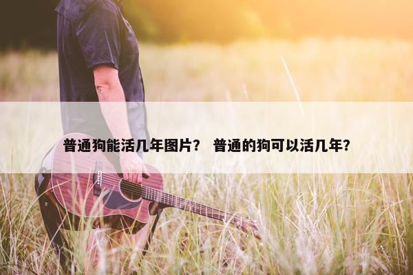 普通狗能活几年图片？ 普通的狗可以活几年？