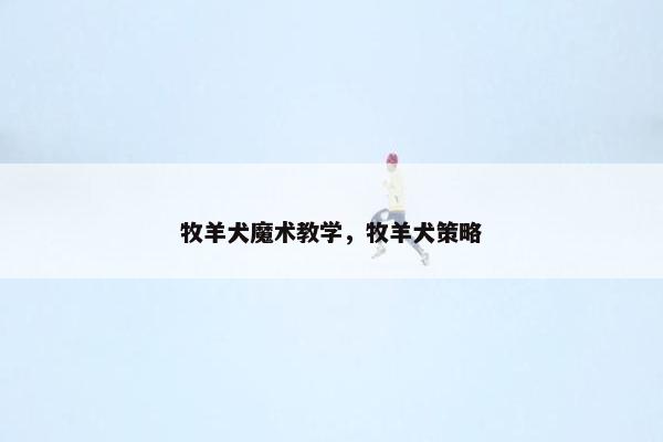 牧羊犬魔术教学，牧羊犬策略