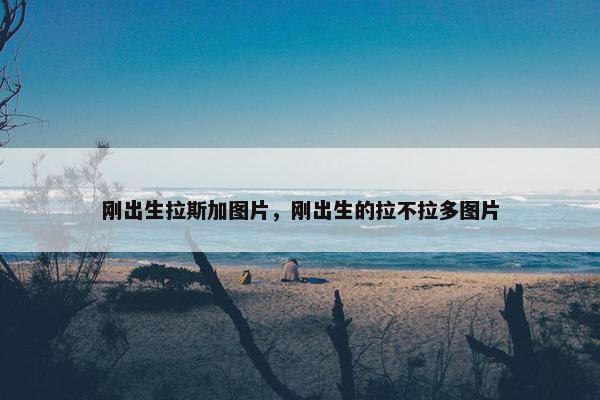 刚出生拉斯加图片，刚出生的拉不拉多图片