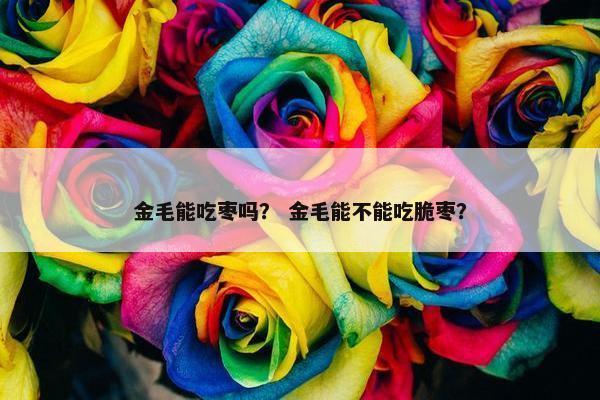 金毛能吃枣吗？ 金毛能不能吃脆枣？