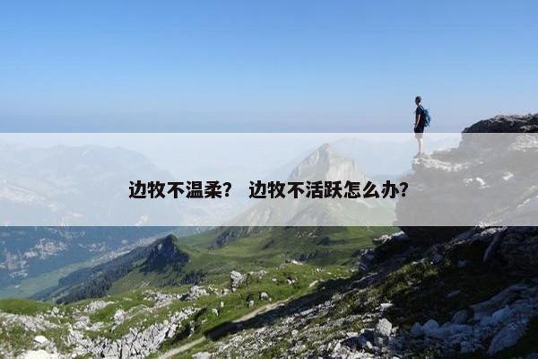 边牧不温柔？ 边牧不活跃怎么办？