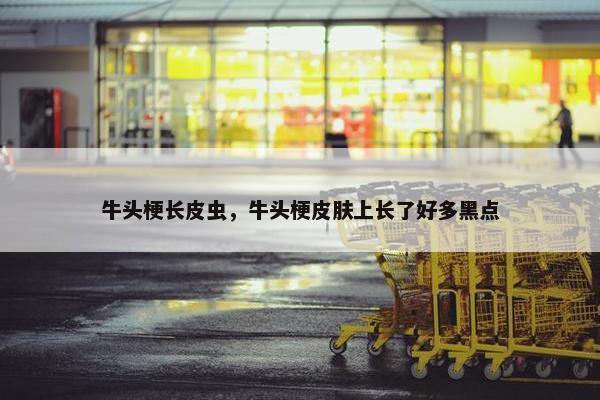 牛头梗长皮虫，牛头梗皮肤上长了好多黑点