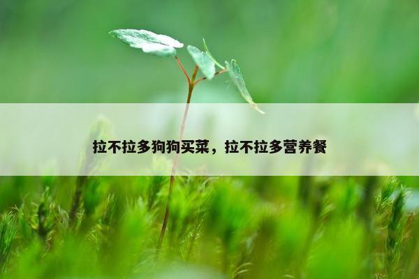 拉不拉多狗狗买菜，拉不拉多营养餐