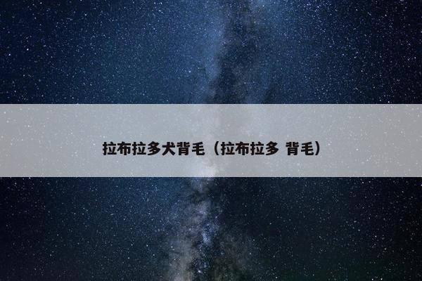 拉布拉多犬背毛（拉布拉多 背毛）