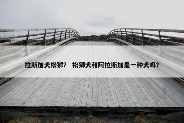 拉斯加犬松狮？ 松狮犬和阿拉斯加是一种犬吗？