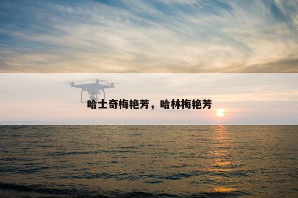 哈士奇梅艳芳，哈林梅艳芳