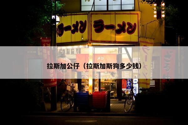 拉斯加公仔（拉斯加斯狗多少钱）