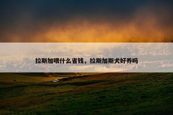 拉斯加喂什么省钱，拉斯加斯犬好养吗