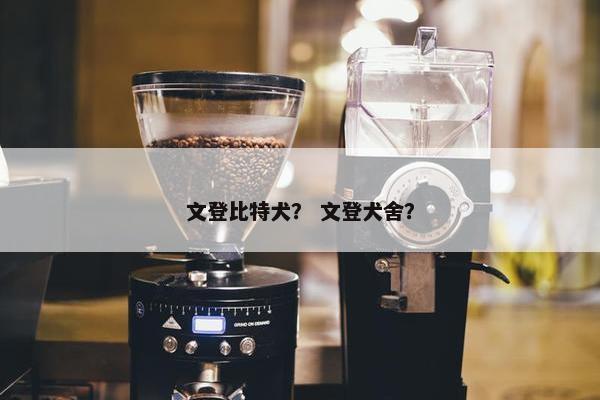文登比特犬？ 文登犬舍？
