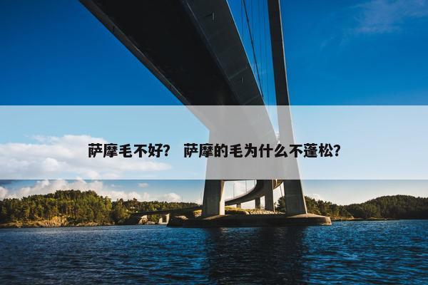 萨摩毛不好？ 萨摩的毛为什么不蓬松？
