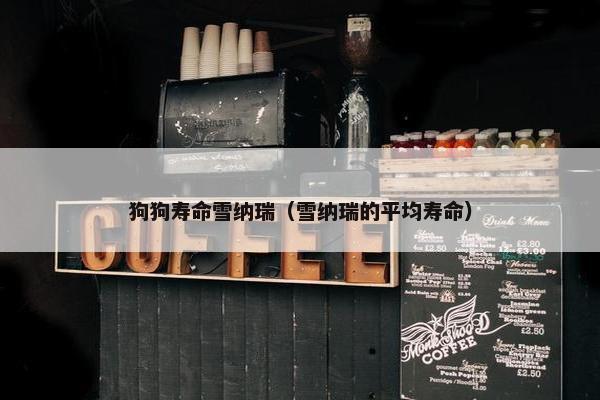狗狗寿命雪纳瑞（雪纳瑞的平均寿命）