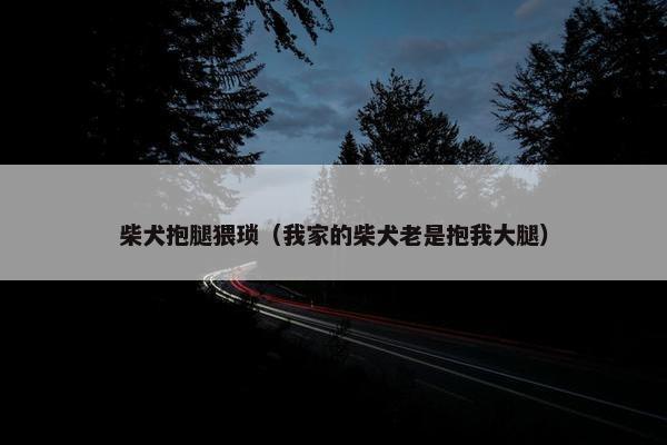 柴犬抱腿猥琐（我家的柴犬老是抱我大腿）