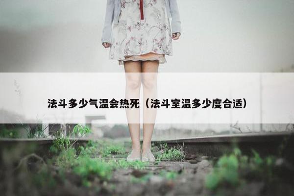 法斗多少气温会热死（法斗室温多少度合适）