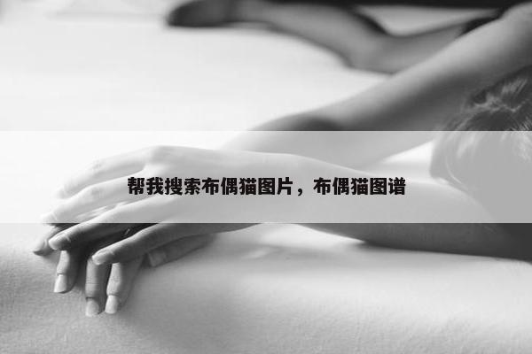 帮我搜索布偶猫图片，布偶猫图谱