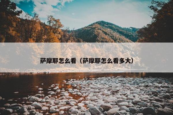 萨摩耶怎么看（萨摩耶怎么看多大）
