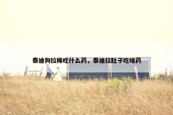 泰迪狗拉稀吃什么药，泰迪拉肚子吃啥药