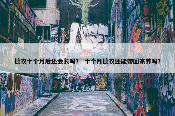 德牧十个月后还会长吗？ 十个月德牧还能带回家养吗？
