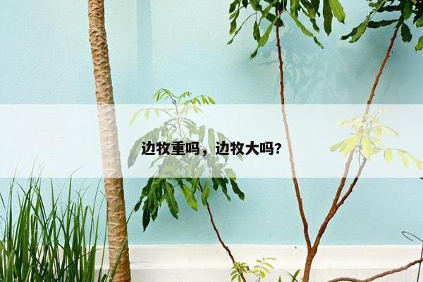 边牧重吗，边牧大吗?