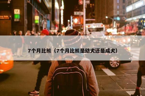 7个月比熊（7个月比熊是幼犬还是成犬）