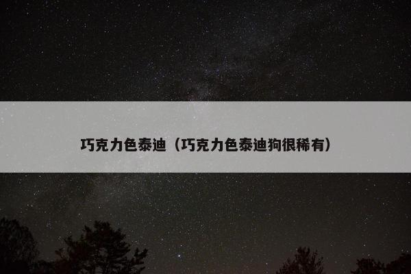 巧克力色泰迪（巧克力色泰迪狗很稀有）