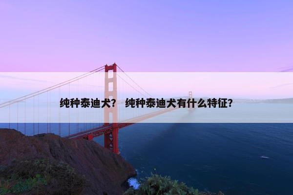 纯种泰迪犬？ 纯种泰迪犬有什么特征？