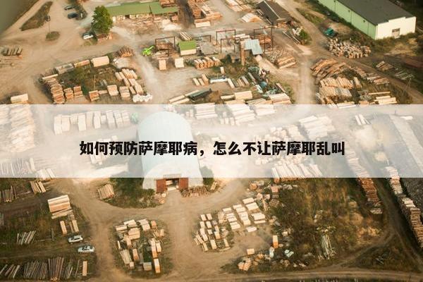 如何预防萨摩耶病，怎么不让萨摩耶乱叫