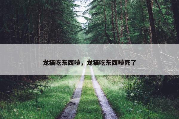 龙猫吃东西噎，龙猫吃东西噎死了