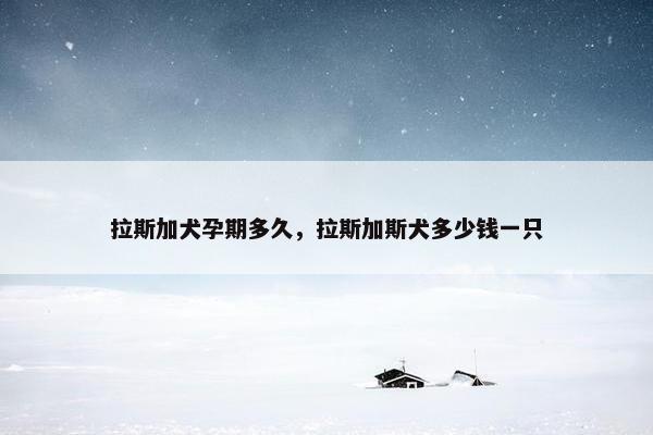 拉斯加犬孕期多久，拉斯加斯犬多少钱一只