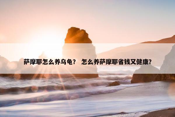 萨摩耶怎么养乌龟？ 怎么养萨摩耶省钱又健康？