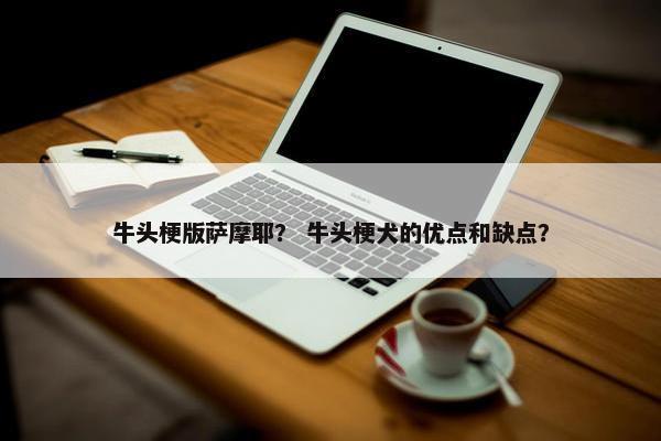 牛头梗版萨摩耶？ 牛头梗犬的优点和缺点？