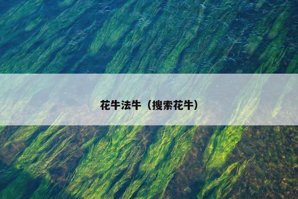 花牛法牛（搜索花牛）