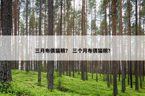 三月布偶猫粮？ 三个月布偶猫粮？