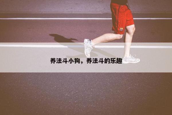 养法斗小狗，养法斗的乐趣