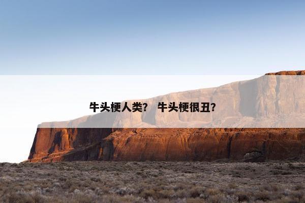 牛头梗人类？ 牛头梗很丑？