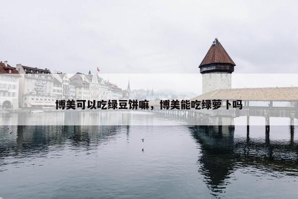 博美可以吃绿豆饼嘛，博美能吃绿萝卜吗