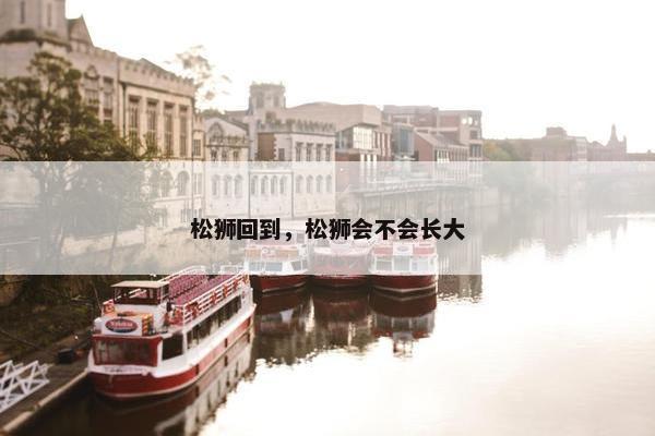 松狮回到，松狮会不会长大