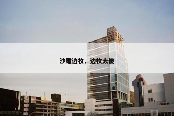 沙雕边牧，边牧太傻