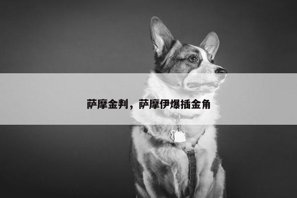 萨摩金判，萨摩伊爆插金角