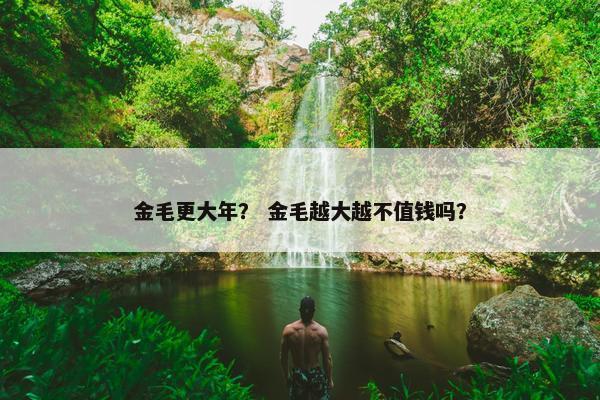 金毛更大年？ 金毛越大越不值钱吗？