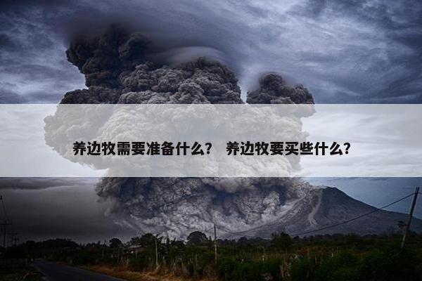 养边牧需要准备什么？ 养边牧要买些什么？
