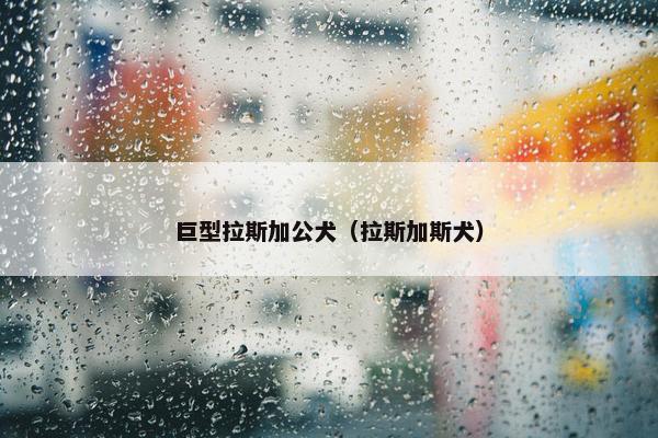 巨型拉斯加公犬（拉斯加斯犬）