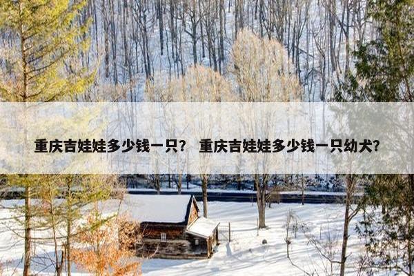 重庆吉娃娃多少钱一只？ 重庆吉娃娃多少钱一只幼犬？