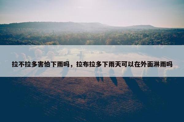拉不拉多害怕下雨吗，拉布拉多下雨天可以在外面淋雨吗